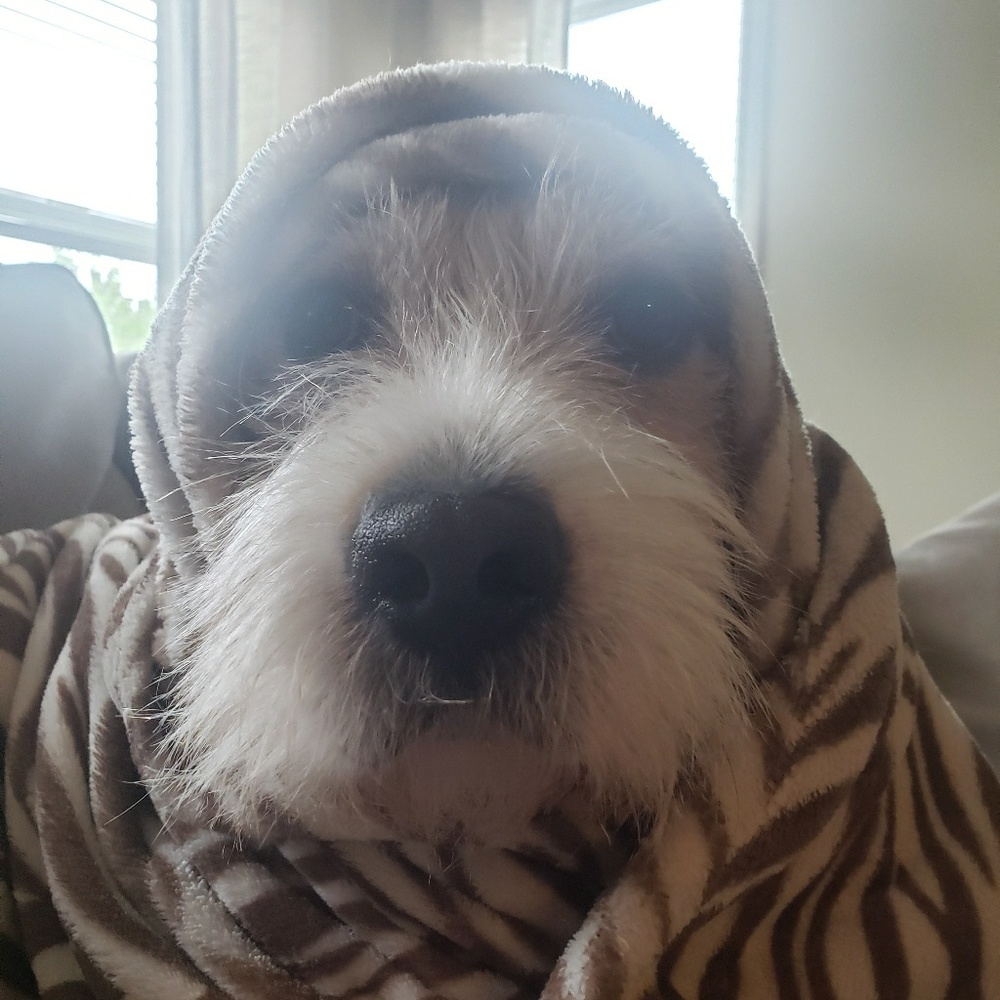 Meet your Posher, Erin